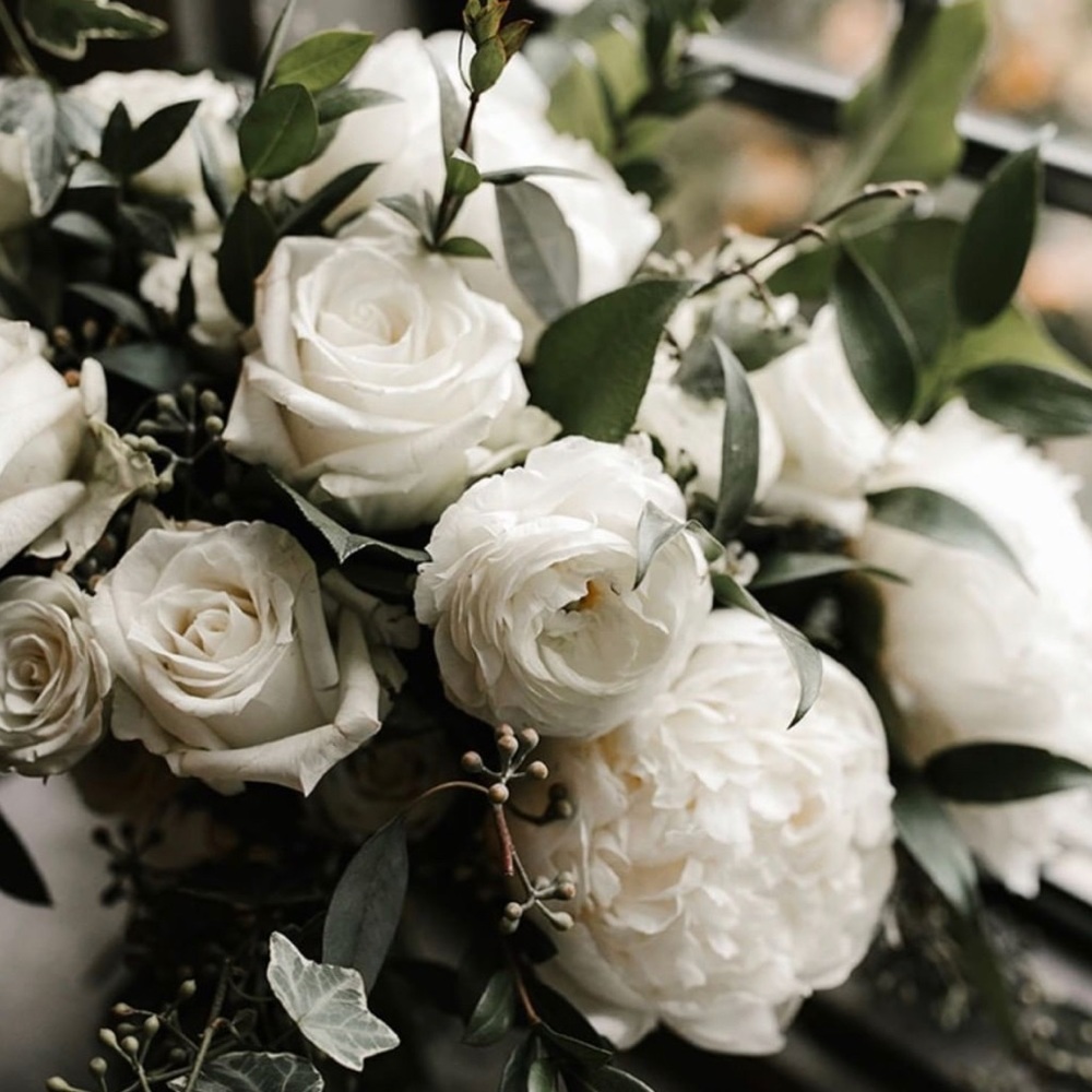 Meet your Posher, Peyton